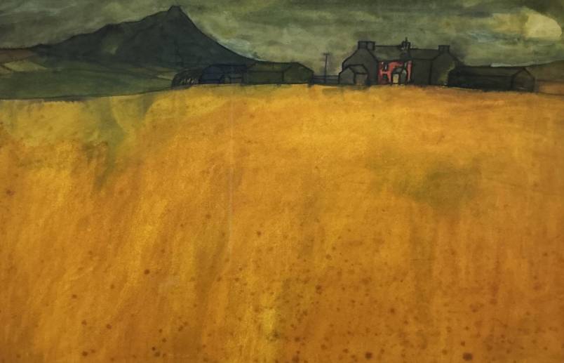 CARN LLIDI  1981 St Davids Pembrokeshire